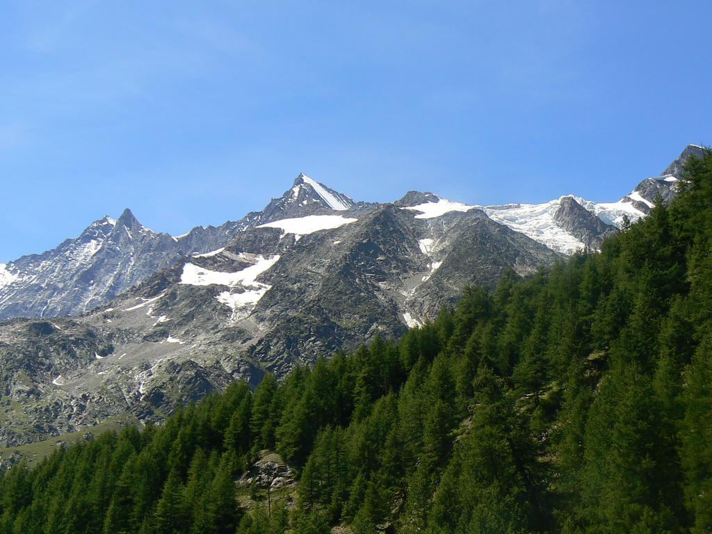 Chalet Stadel Saas-Grund Pokoj fotografie