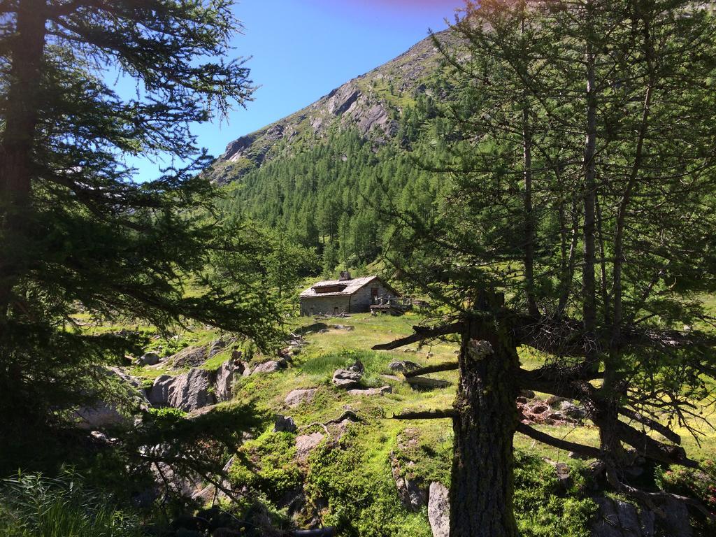 Chalet Stadel Saas-Grund Exteriér fotografie